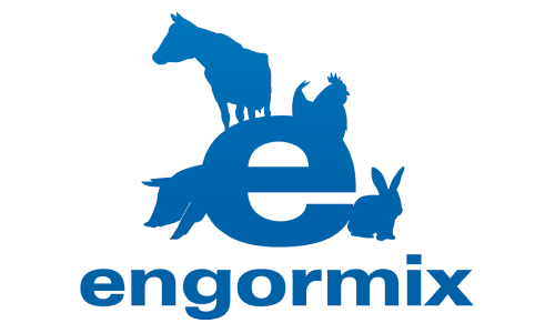 Logo Engormix